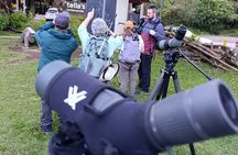 Monteverde Guided Eco Walk – Cloudforest Plants, Birds & Nature 