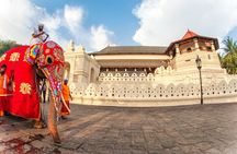 Kandy unique Half Day City Tour By Tuk Tuk with Traditional Lunch
