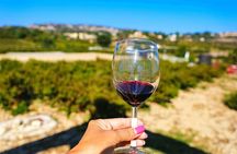 Local Wineries Tour with Wine Testing from Paphos