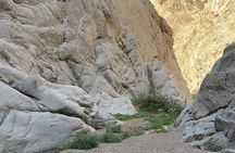 Hidden Wonders of Wadi Hisma: A Desert Adventure
