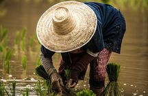 Phuket Countryside and Heritage Tour
