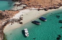 Daymaniyat Island Snorkelling 
