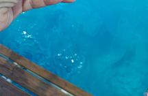  Boat Tour to Orak Island