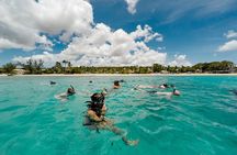 Turtle and Shipwreck adventure on 57 ft catamaran