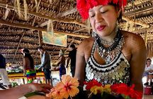 Tour Embera Indigenous Village and waterfall with lunch
