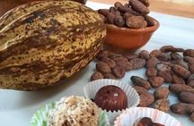 Antigua Coffee and Chocolate experience from Quetzal Port