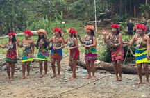 Tour Embera Indigenous Village and waterfall with lunch