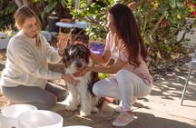 Reiki 1 Transformative Training Experience