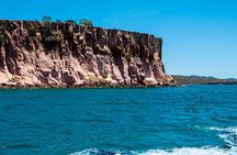 Isla Espiritu Santo and Balandra Tour