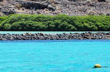 Isla Espiritu Santo and Balandra Tour