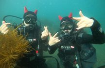 Jeju Island, Seongsan Ilchulbong, Discover Scuba Diving