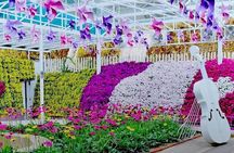Cameron Highlands Day Tour
