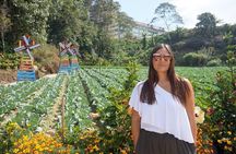 Cameron Highlands Day Tour