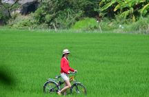 Mekong Delta Uniqueness and Floating Village Full Day Tour
