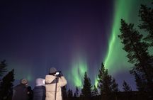Aurora Hunting by Minivan in Ivalo, Inari or Saariselkä
