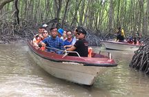 Monkey Island and Mangrove Forest Eco Tour from Ho Chi Minh