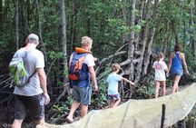 Monkey Island and Mangrove Forest Eco Tour from Ho Chi Minh
