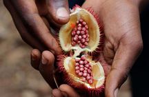 Private Zanzibar Spice Farm Tour: Best Experience Awaits