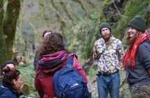 Forest Bathing in Tuscany with Wild Crafted Tea 