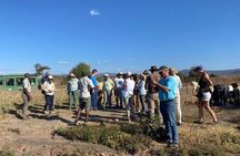 6 Days Tanzania Big Five Safari 