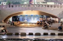 Fantastic Small Group Seoul Night Tour