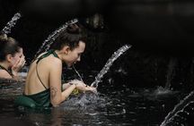 Melukat Ceremony at Tirta Empul Temple with Transport