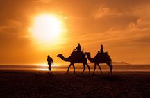 Camel Ride in Agadir with Dinner BBQ