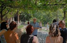 Trinity Canyon Winemaker-Led Tour and Organic Wine Tasting