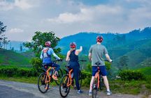 Tea Loops E-Biking 