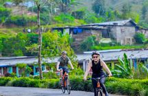 Tea Loops E-Biking 