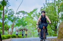 Tea Loops E-Biking 