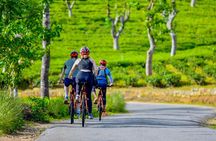 Tea Loops E-Biking