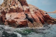 Tour 5 Day From Lima - Ica - Cusco - Machu Picchu | Hotel 4 stars