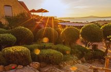 Waiheke Afternoon Wine Affair with Award Winning Lunch