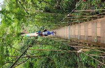 Guided Tour And Zipline In The Monkey And Sloth Jungle