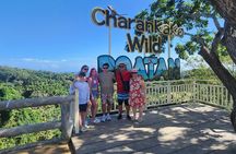 Guided Tour And Zipline In The Monkey And Sloth Jungle