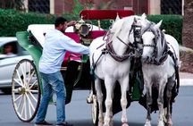 Marrakech 1 hour Horse Carriage Rides