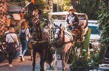 Marrakech 1 hour Horse Carriage Rides