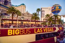 Big Bus Las Vegas: Hop-On Hop-Off Sightseeing Bus Tour