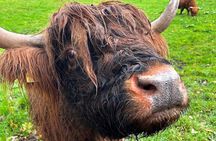 Private 3 Day Tour to Skye Loch Ness and Glencoe from Glasgow