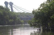 River Lizards Boat Tour for Flora and Fauna Observation