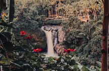 Ubud Tour with ATV Tubing Barong Dance and Waterfall