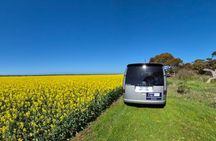 Oyster Adventure in Coffin Bay (Coffin Bay Pick Up)