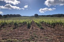 Ronda Day Tour and Winery Visits from Marbella