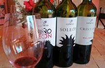 Ronda Day Tour and Winery Visits from Marbella