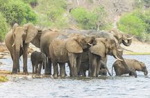 5 Days Tsavo West Amboseli and Tsavo East from Mombasa