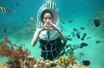 Nha Trang Bay Underwater Walk and Vietnamese Seafood Delight