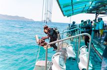 Nha Trang Bay Underwater Walk and Vietnamese Seafood Delight