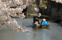 From Nagoya: Castles and Canals in Hikone and Omi Hachiman