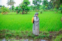 1-Day Moshi Villages bike tour